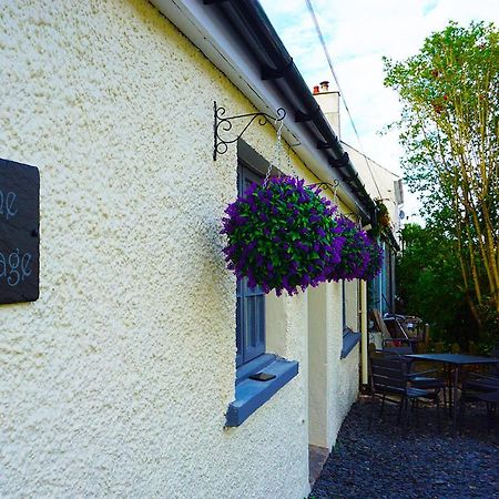 Staycation At Pine Cottage, A Newly Refurbished Holiday Cottage Goodwick المظهر الخارجي الصورة