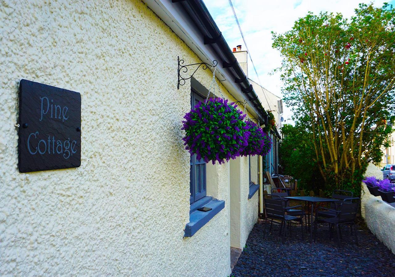 Staycation At Pine Cottage, A Newly Refurbished Holiday Cottage Goodwick المظهر الخارجي الصورة